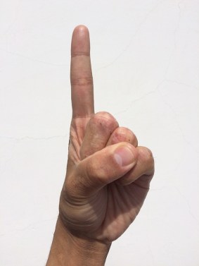 zeigefinger