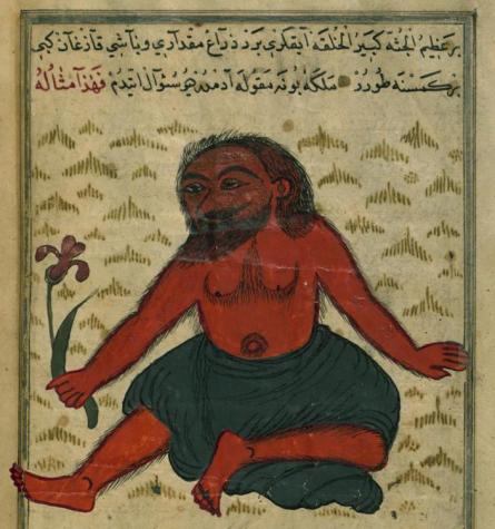 Muhammad_ibn_Muhammad_Shakir_Ruzmah-'i_Nathani_-_The_Monster_of_Gog_and_Magog_-_Walters_W659190B_-_Full_Page